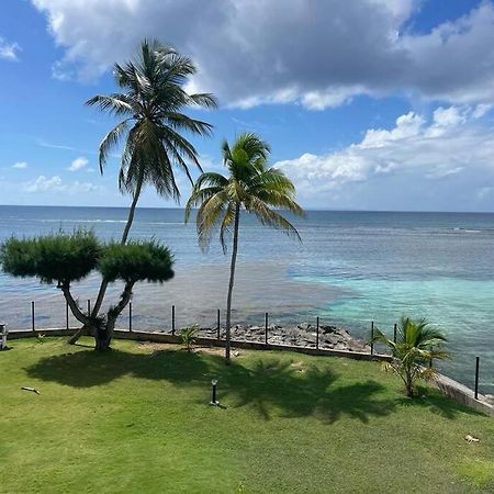 Ti Macloa - Appartement Les Pieds Dans L'Eau Sainte-Anne  Exteriör bild