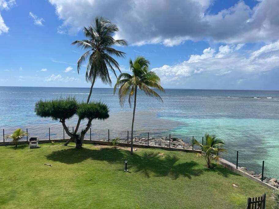 Ti Macloa - Appartement Les Pieds Dans L'Eau Sainte-Anne  Exteriör bild